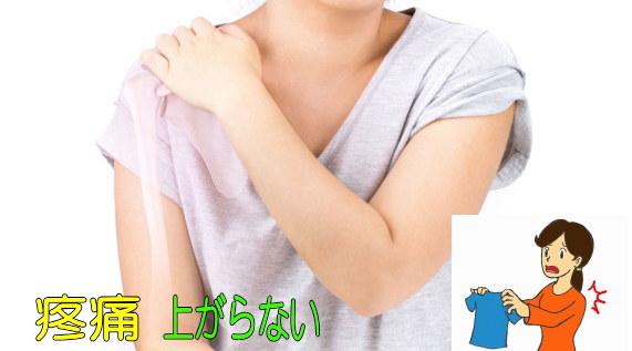 l\ ܏\̎ʐ^