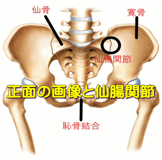 歪んだ骨盤の矯正
