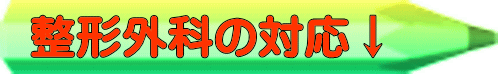 `OȂ̑Ή ː