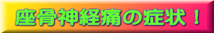 八戸整体 坐骨神経痛