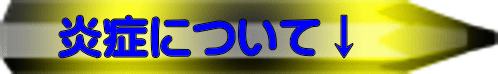 ǂɂ ː