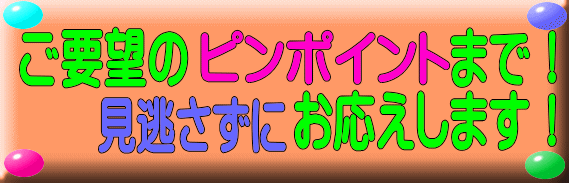 v]̃s|Cg܂Ō܂